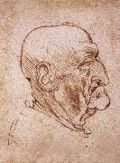 LEONARDO da Vinci Profile of an old man painting